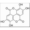 anti-HYAL1 antibody (Hyaluronidase-1) (N-Term)