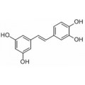 anti-HYAL1 antibody (Hyaluronidase-1) (N-Term)
