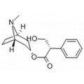 anti-HYAL1 antibody (Hyaluronidase-1) (N-Term)