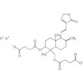 anti-HYAL1 antibody (Hyaluronidase-1) (N-Term)