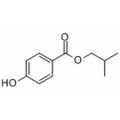 anti-HYAL1 antibody (Hyaluronidase-1) (N-Term)