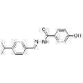 anti-HYAL1 antibody (Hyaluronidase-1) (N-Term)