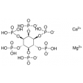 anti-HYAL1 antibody (Hyaluronidase-1) (N-Term)