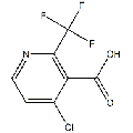 anti-HYAL1 antibody (Hyaluronidase-1) (N-Term)