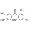 anti-HYAL1 antibody (Hyaluronidase-1) (N-Term)