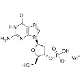 anti-HYAL1 antibody (Hyaluronidase-1) (N-Term)
