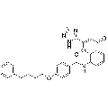 anti-HYAL1 antibody (Hyaluronidase-1) (N-Term)