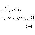 anti-HYAL1 antibody (Hyaluronidase-1) (N-Term)