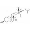 anti-HYAL1 antibody (Hyaluronidase-1) (N-Term)