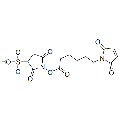 anti-HYAL1 antibody (Hyaluronidase-1) (N-Term)