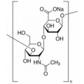anti-HYAL1 antibody (Hyaluronidase-1) (N-Term)