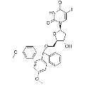 anti-HYAL1 antibody (Hyaluronidase-1) (N-Term)