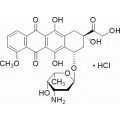 anti-HYAL1 antibody (Hyaluronidase-1) (N-Term)