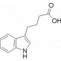 anti-HYAL1 antibody (Hyaluronidase-1) (N-Term)