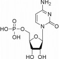 anti-HYAL1 antibody (Hyaluronidase-1) (N-Term)