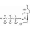 anti-HYAL1 antibody (Hyaluronidase-1) (N-Term)