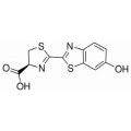 anti-HYAL1 antibody (Hyaluronidase-1) (N-Term)
