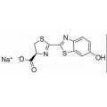 anti-HYAL1 antibody (Hyaluronidase-1) (N-Term)