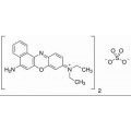 anti-HYAL1 antibody (Hyaluronidase-1) (N-Term)