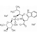 anti-HYAL1 antibody (Hyaluronidase-1) (N-Term)