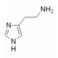 anti-HYAL1 antibody (Hyaluronidase-1) (N-Term)