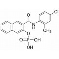 anti-HYAL1 antibody (Hyaluronidase-1) (N-Term)