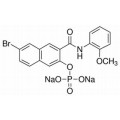 anti-HYAL1 antibody (Hyaluronidase-1) (N-Term)