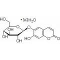 anti-HYAL1 antibody (Hyaluronidase-1) (N-Term)