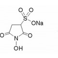 anti-HYAL1 antibody (Hyaluronidase-1) (N-Term)