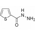 anti-HYAL1 antibody (Hyaluronidase-1) (N-Term)