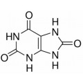 anti-HYAL1 antibody (Hyaluronidase-1) (N-Term)