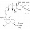 anti-HYAL1 antibody (Hyaluronidase-1) (N-Term)