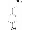 anti-HYAL1 antibody (Hyaluronidase-1) (N-Term)