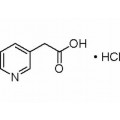 anti-HYAL1 antibody (Hyaluronidase-1) (N-Term)