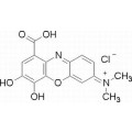 anti-HYAL1 antibody (Hyaluronidase-1) (N-Term)