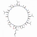 anti-HYAL1 antibody (Hyaluronidase-1) (N-Term)