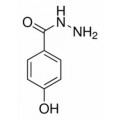 anti-HYAL1 antibody (Hyaluronidase-1) (N-Term)