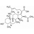 anti-HYAL1 antibody (Hyaluronidase-1) (N-Term)