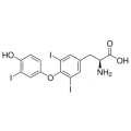 anti-HYAL1 antibody (Hyaluronidase-1) (N-Term)