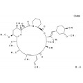 anti-HYAL1 antibody (Hyaluronidase-1) (N-Term)