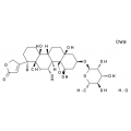 anti-HYAL1 antibody (Hyaluronidase-1) (N-Term)