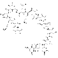anti-HYAL1 antibody (Hyaluronidase-1) (N-Term)