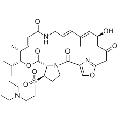 anti-HYAL1 antibody (Hyaluronidase-1) (N-Term)