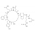 anti-HYAL1 antibody (Hyaluronidase-1) (N-Term)