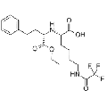 anti-HYAL1 antibody (Hyaluronidase-1) (N-Term)