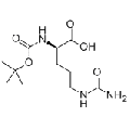 anti-HYAL1 antibody (Hyaluronidase-1) (N-Term)