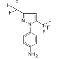 anti-HYAL1 antibody (Hyaluronidase-1) (N-Term)