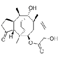 anti-HYAL1 antibody (Hyaluronidase-1) (N-Term)