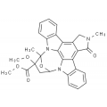 anti-HYAL1 antibody (Hyaluronidase-1) (N-Term)