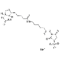 anti-HYAL1 antibody (Hyaluronidase-1) (N-Term)